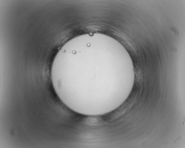 X0000116590418201001071237