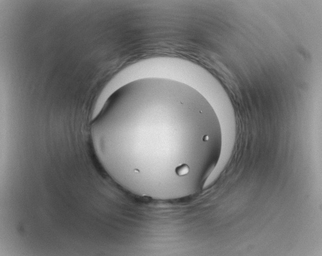 X0000116590419201001071237