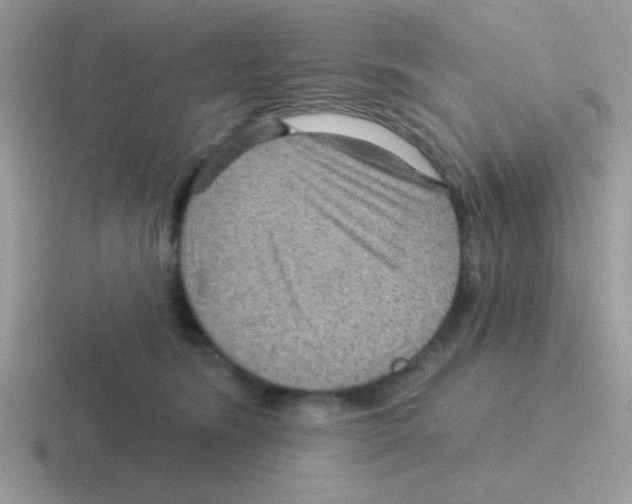 X0000116590420201001071237