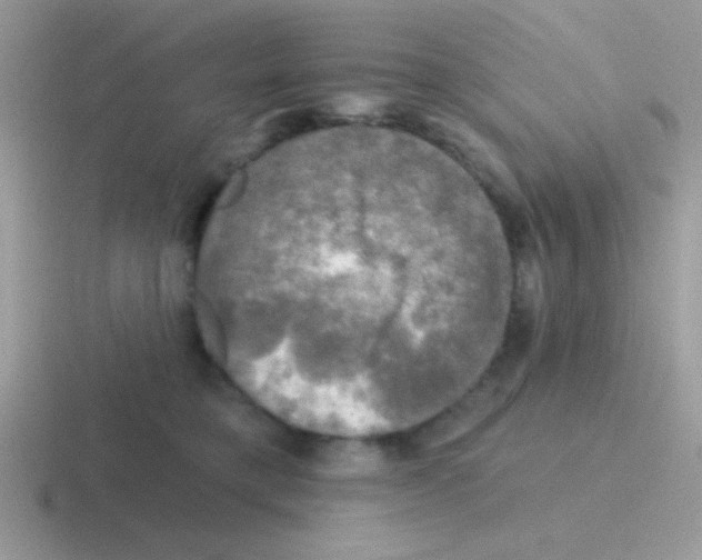 X0000116590421201001071237