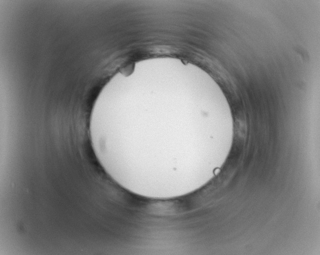 X0000116590422201001071237