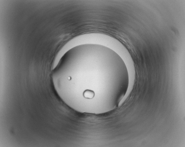 X0000116590423201001071237