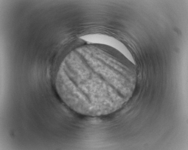 X0000116590424201001071237