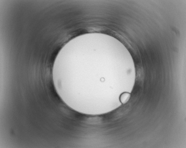 X0000116590426201001071237