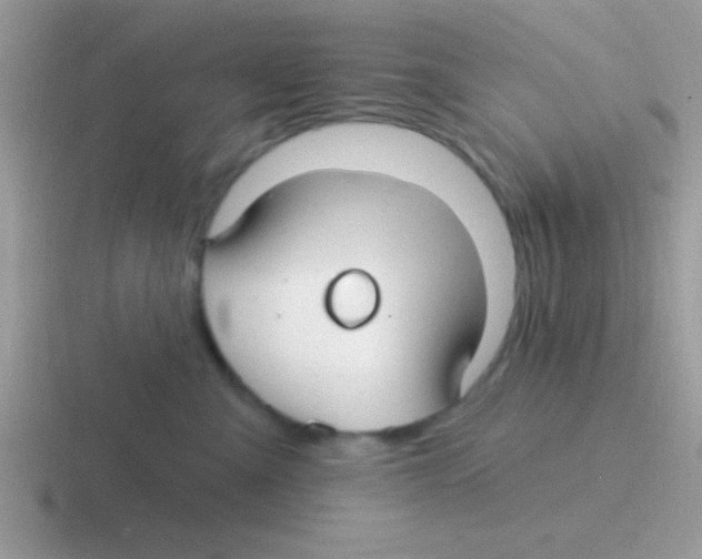 X0000116590427201001071237