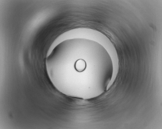 X0000116590429201001071237