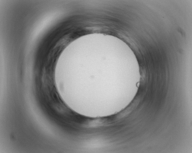 X0000116590430201001071237