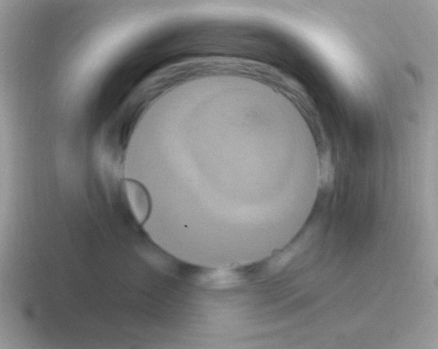 X0000116590431201001071237