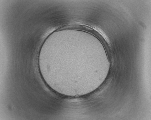 X0000116590433201001071237