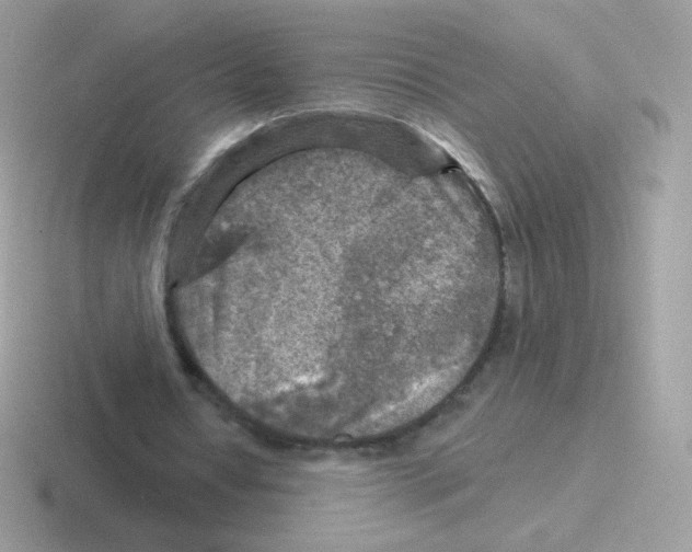 X0000116590434201001071237