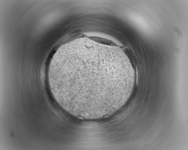 X0000116590435201001071237