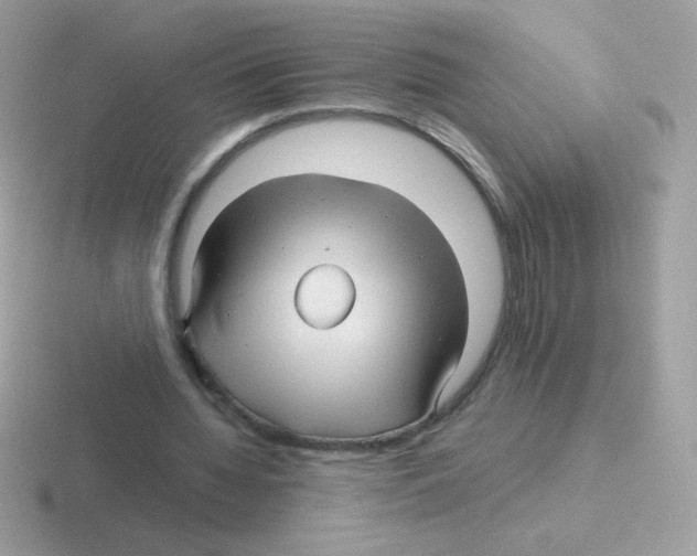 X0000116590436201001071237