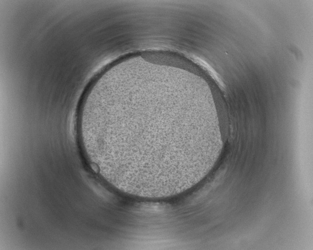 X0000116590439201001071237