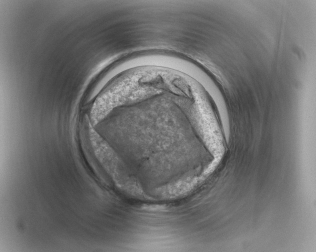 X0000116590440201001071237