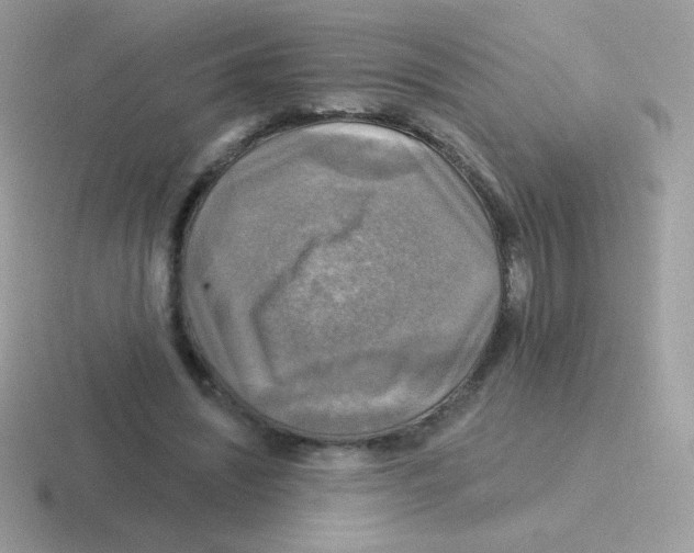 X0000116590444201001071237