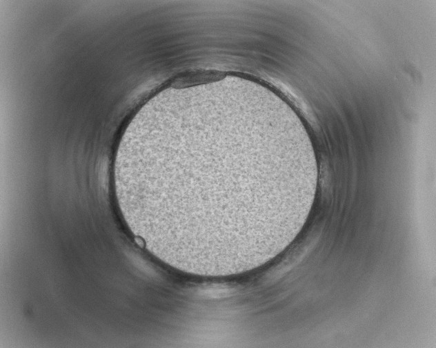 X0000116590445201001071237