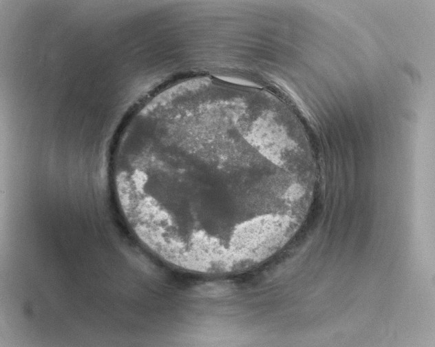 X0000116590447201001071237