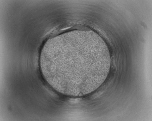 X0000116590450201001071237