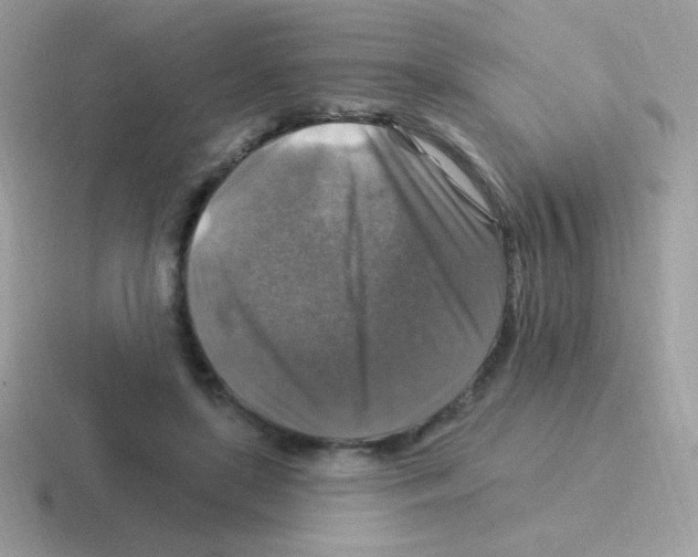 X0000116590451201001071237