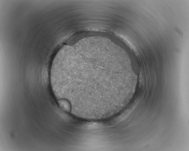 X0000116590453201001071237