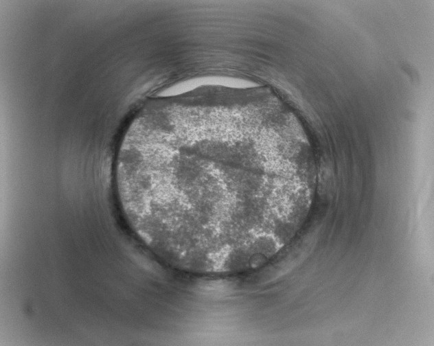 X0000116590454201001071237