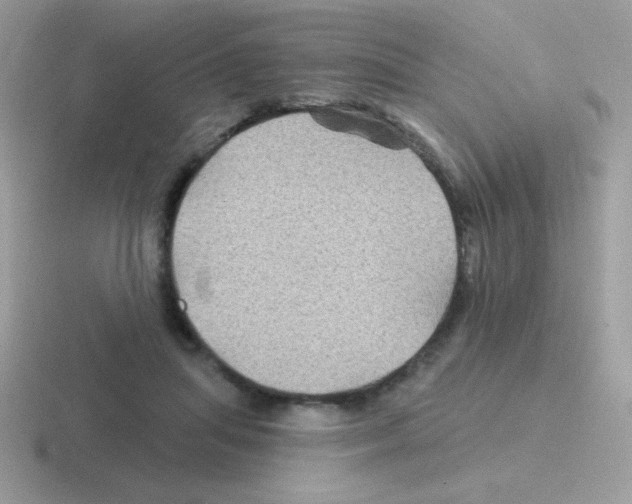 X0000116590455201001071237