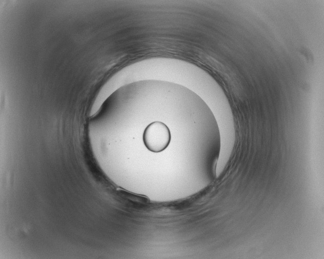 X0000116590456201001071237