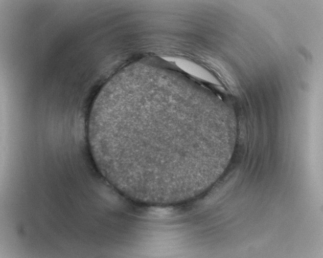 X0000116590457201001071237