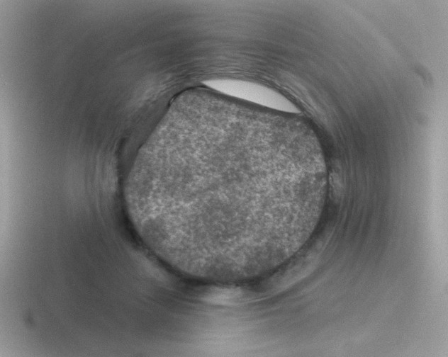 X0000116590458201001071237