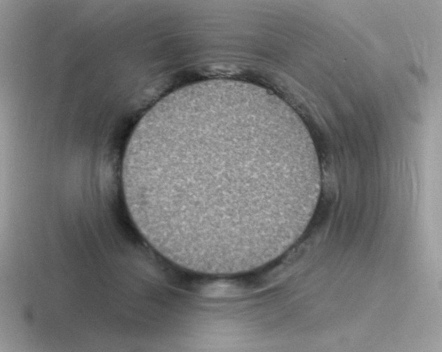 X0000116590460201001071237