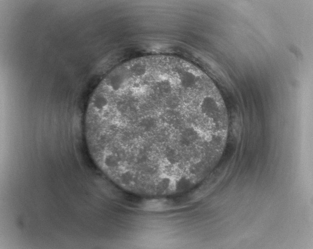 X0000116590461201001071237