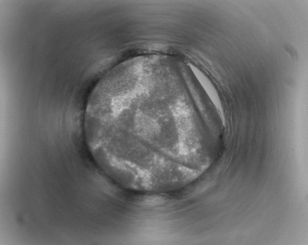 X0000116590462201001071237