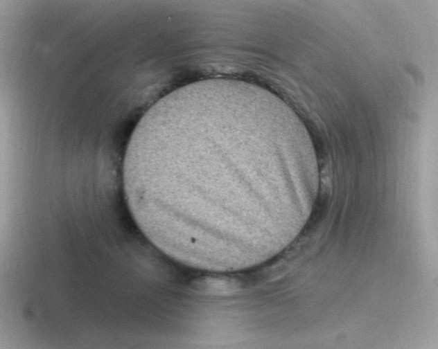 X0000116590464201001071237