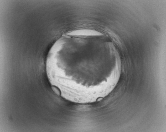 X0000116590465201001071237