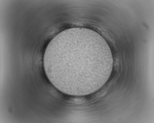 X0000116590466201001071237