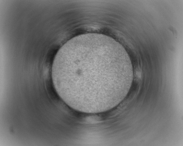 X0000116590468201001071237