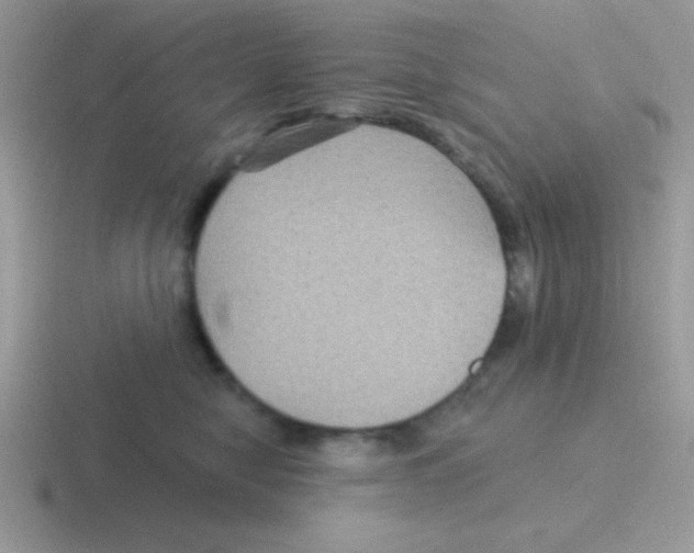 X0000116590470201001071237