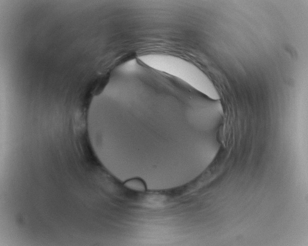 X0000116590471201001071237