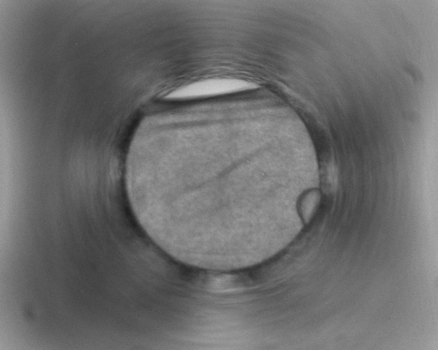 X0000116590472201001071237