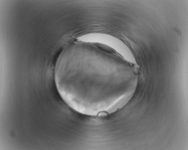 X0000116590475201001071237