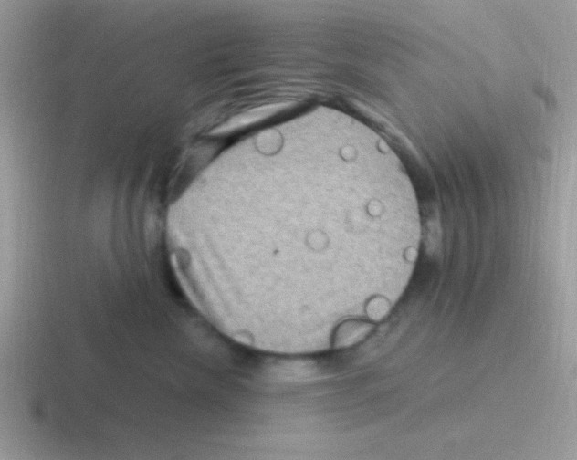 X0000116590476201001071237