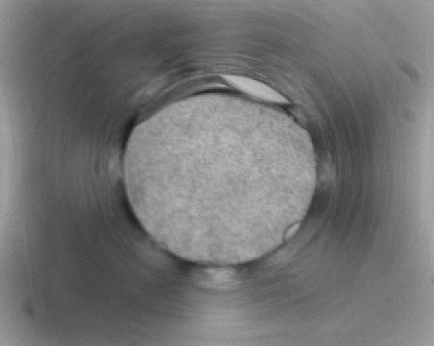 X0000116590478201001071237