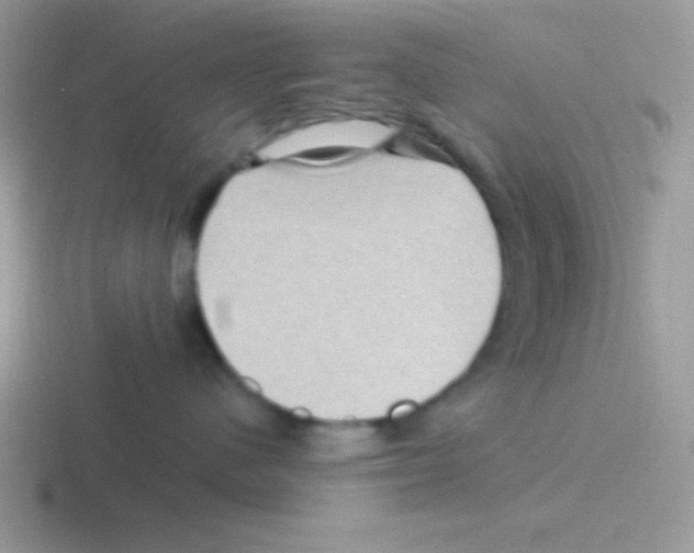 X0000116590480201001071237