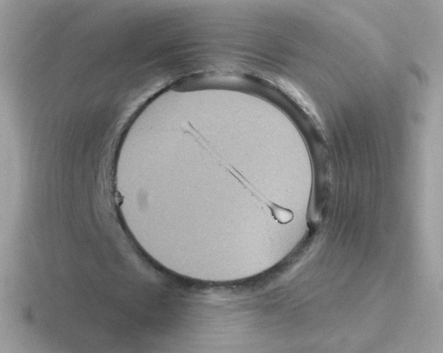 X0000116590481201001071237