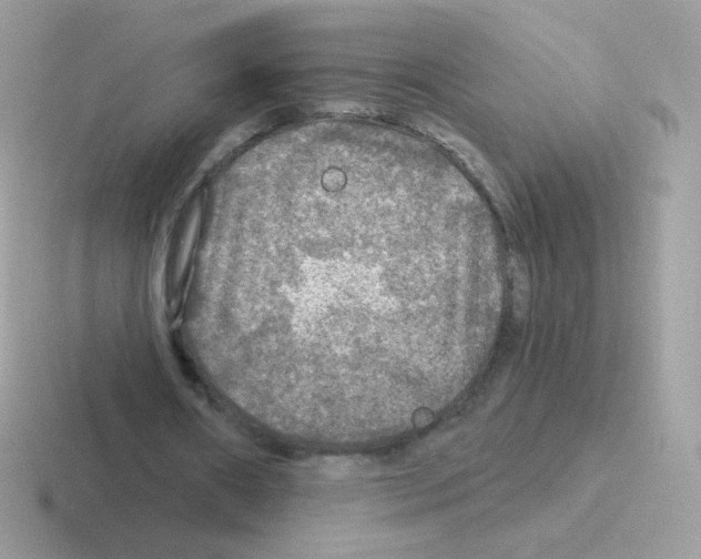 X0000116590482201001071237