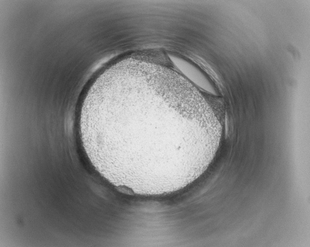 X0000116590483201001071237