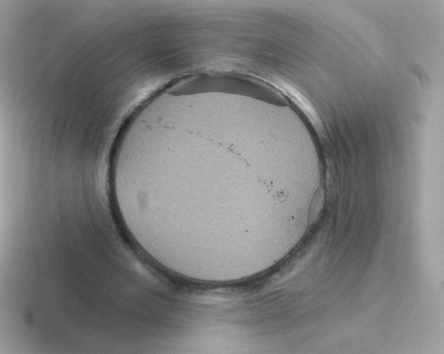 X0000116590485201001071237