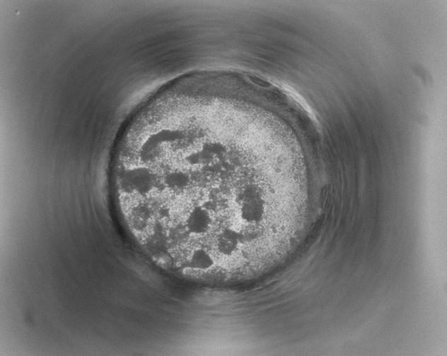 X0000116590487201001071237