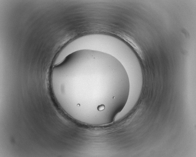 X0000116590489201001071237