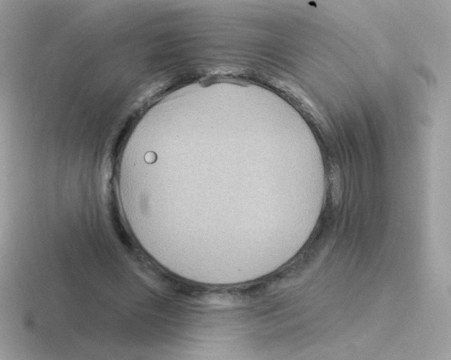 X0000116590490201001071237